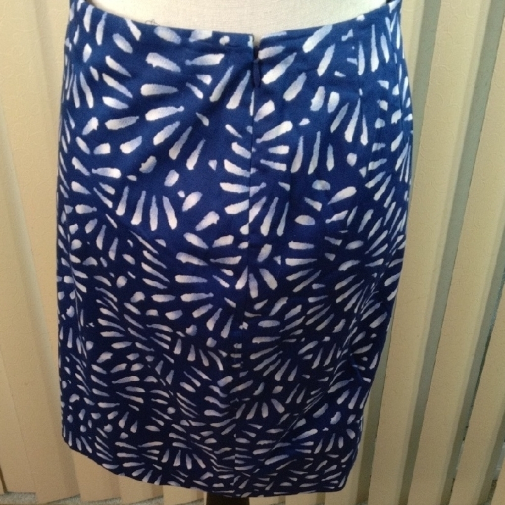 The Limited , Blue Patterned Skirt - Picture 2 of 4